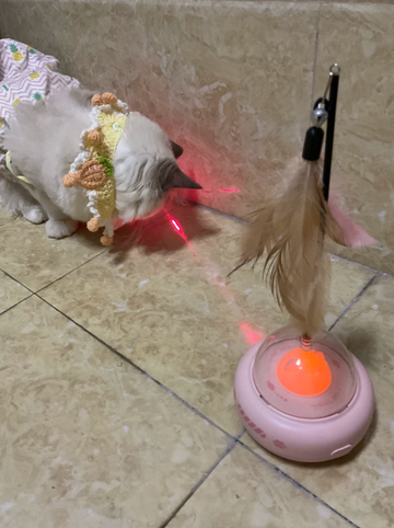 Cat beside the pink UFO feather toy on a tiled floor, from a supplied supplier review photo