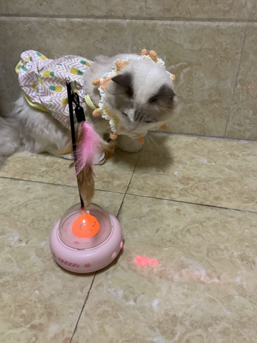 Cat looking at the pink UFO feather toy on a tiled floor, from a supplied supplier review photo